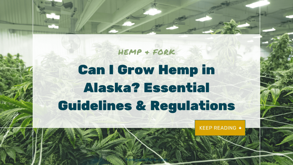 Can I grow hemp in Alaska? Guidelines and regulations.