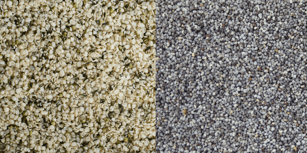 hemp seeds vs poppy seeds