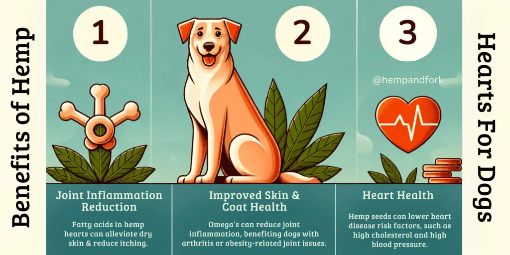 health benefits of hemp hearts for dogs infographics